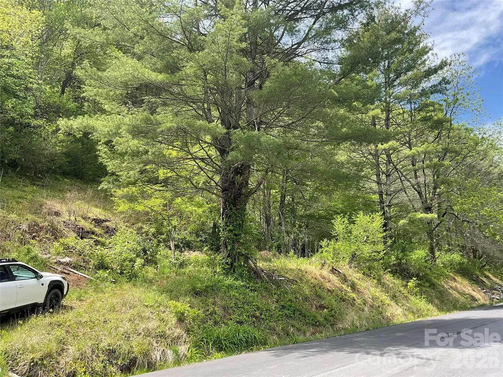 0000 Nc Hwy 197 Highway Green Mountain NC 28740