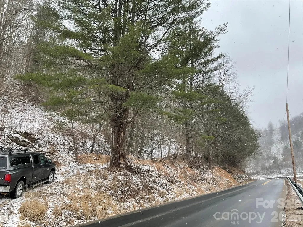 0000 Nc Hwy 197 Highway Green Mountain NC 28740
