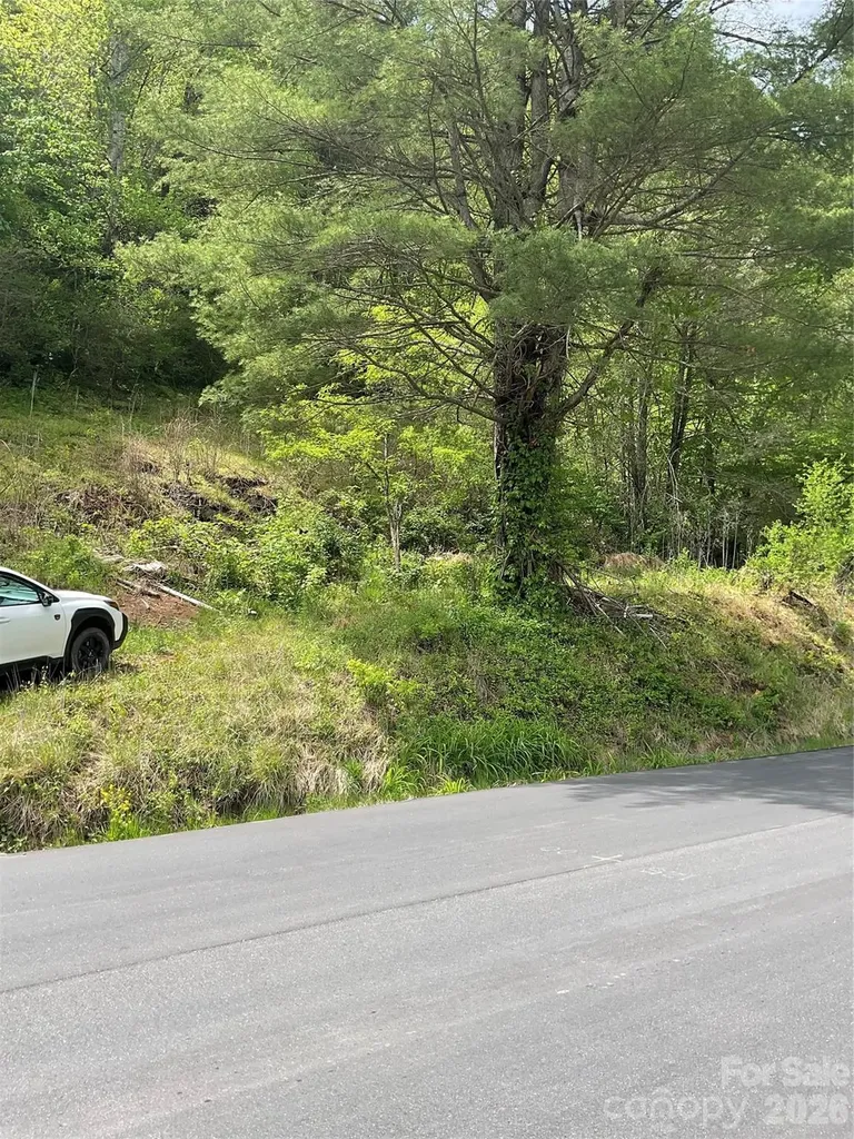 0000 Nc Hwy 197 Highway Green Mountain NC 28740