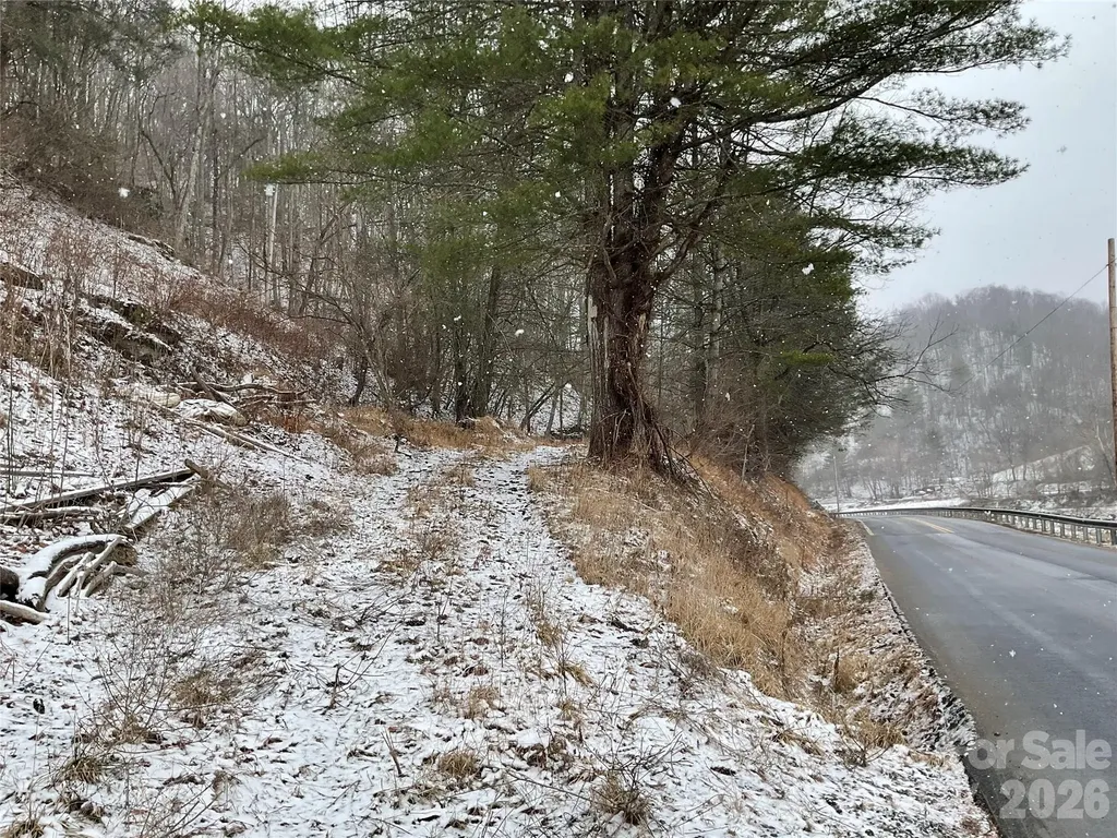0000 Nc Hwy 197 Highway Green Mountain NC 28740