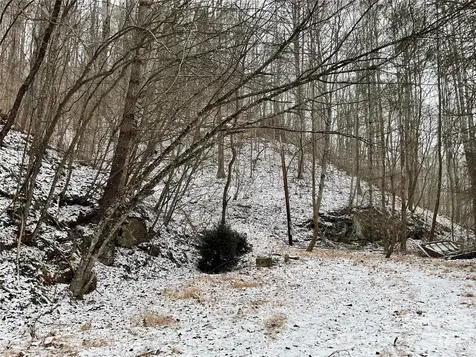 0000 Nc Hwy 197 Highway Green Mountain NC 28740