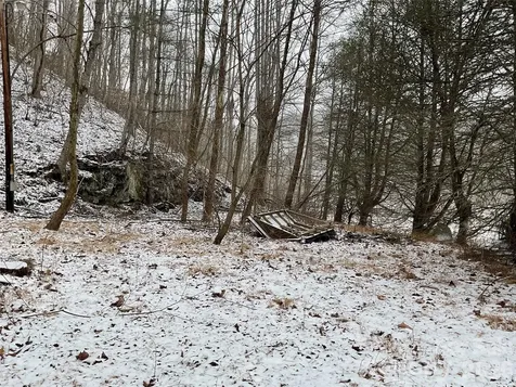 0000 Nc Hwy 197 Highway Green Mountain NC 28740