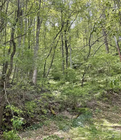 0000 Nc Hwy 197 Highway Green Mountain NC 28740