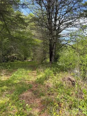0000 Nc Hwy 197 Highway Green Mountain NC 28740