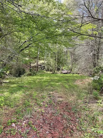 0000 Nc Hwy 197 Highway Green Mountain NC 28740