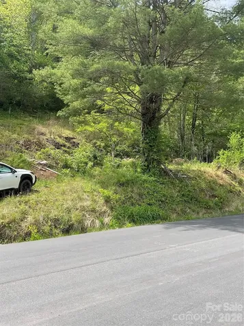 0000 Nc Hwy 197 Highway Green Mountain NC 28740