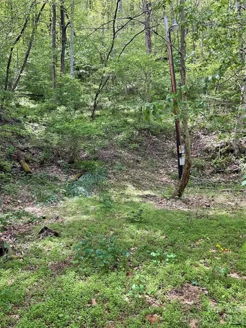 0000 Nc Hwy 197 Highway Green Mountain NC 28740