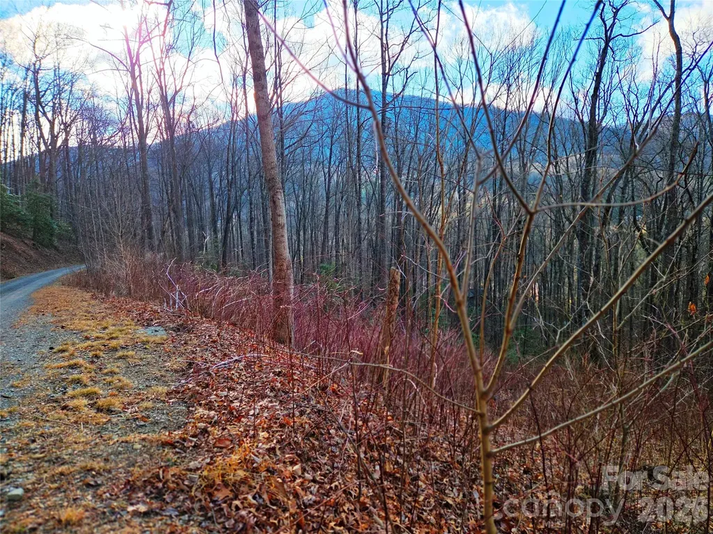 900 Fern Trail Waynesville NC 28786