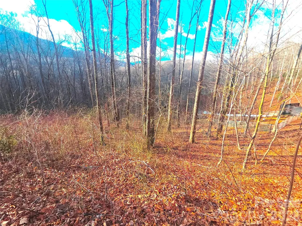 900 Fern Trail Waynesville NC 28786