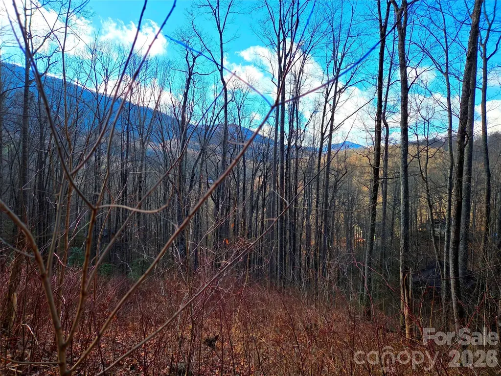 900 Fern Trail Waynesville NC 28786