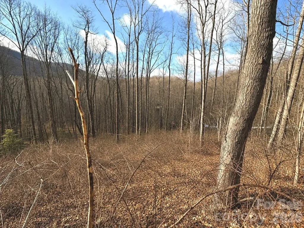 900 Fern Trail Waynesville NC 28786