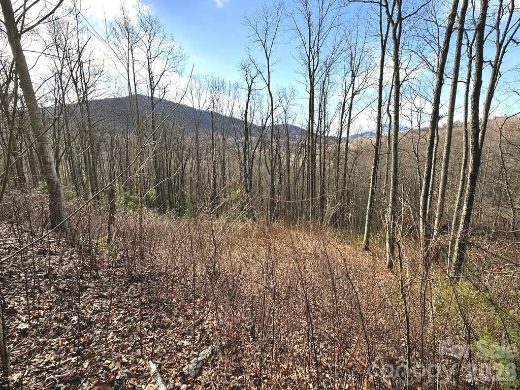 900 Fern Trail Waynesville NC 28786