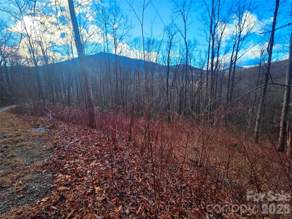 900 Fern Trail Waynesville NC 28786