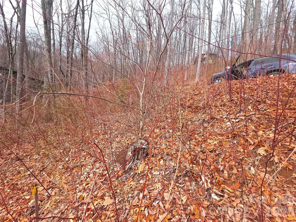900 Fern Trail Waynesville NC 28786