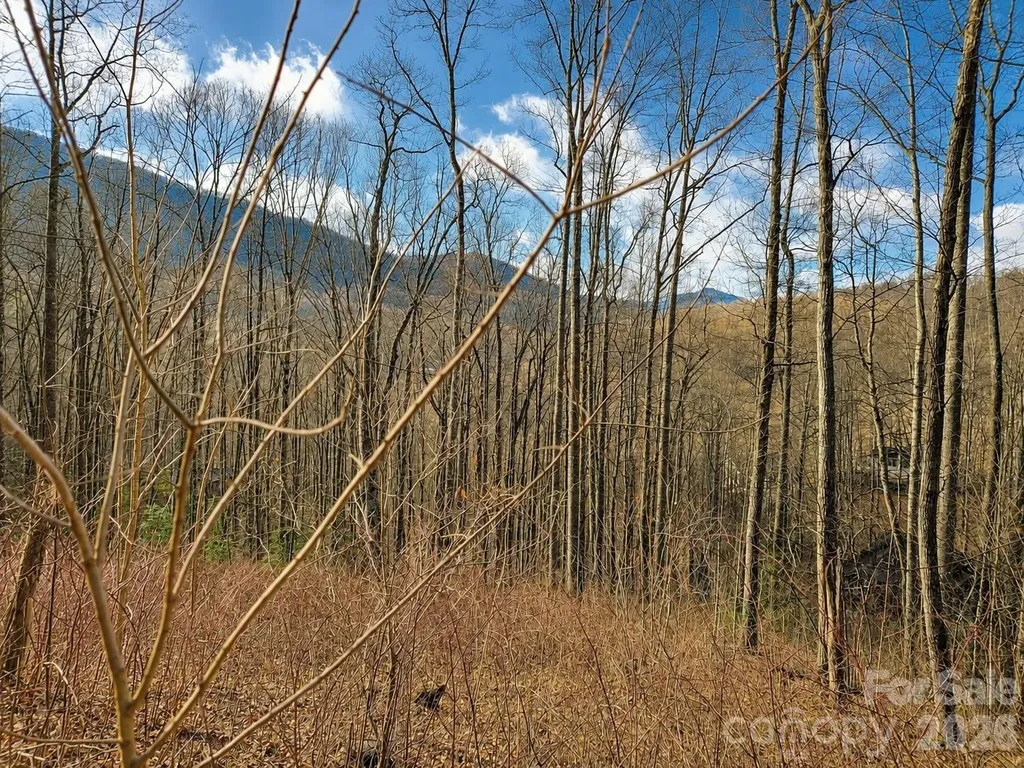 900 Fern Trail Waynesville NC 28786