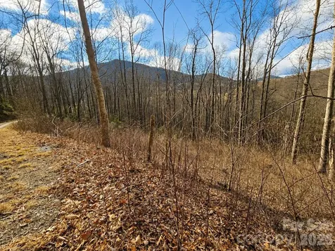 900 Fern Trail Waynesville NC 28786