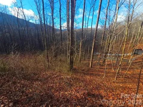 900 Fern Trail Waynesville NC 28786