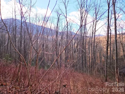 900 Fern Trail Waynesville NC 28786