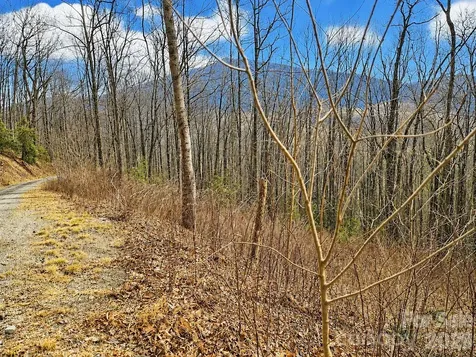 900 Fern Trail Waynesville NC 28786