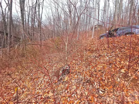 900 Fern Trail Waynesville NC 28786