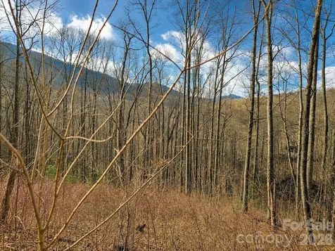 900 Fern Trail Waynesville NC 28786