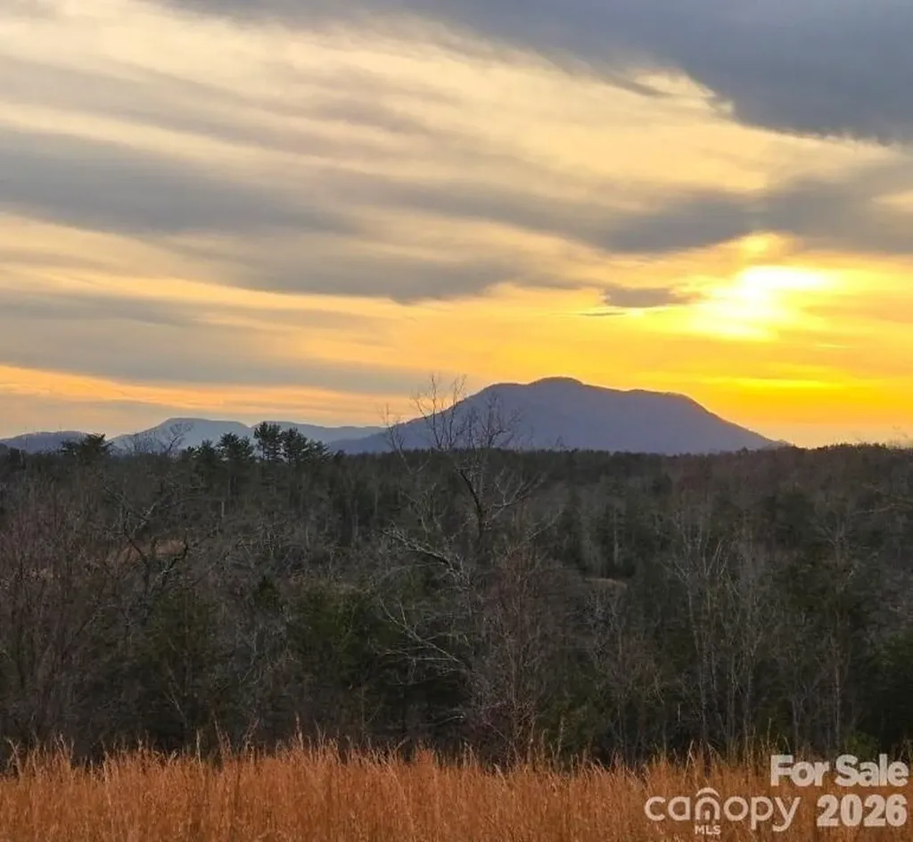 Lot #1 Price Summit Way Mill Spring NC 28756