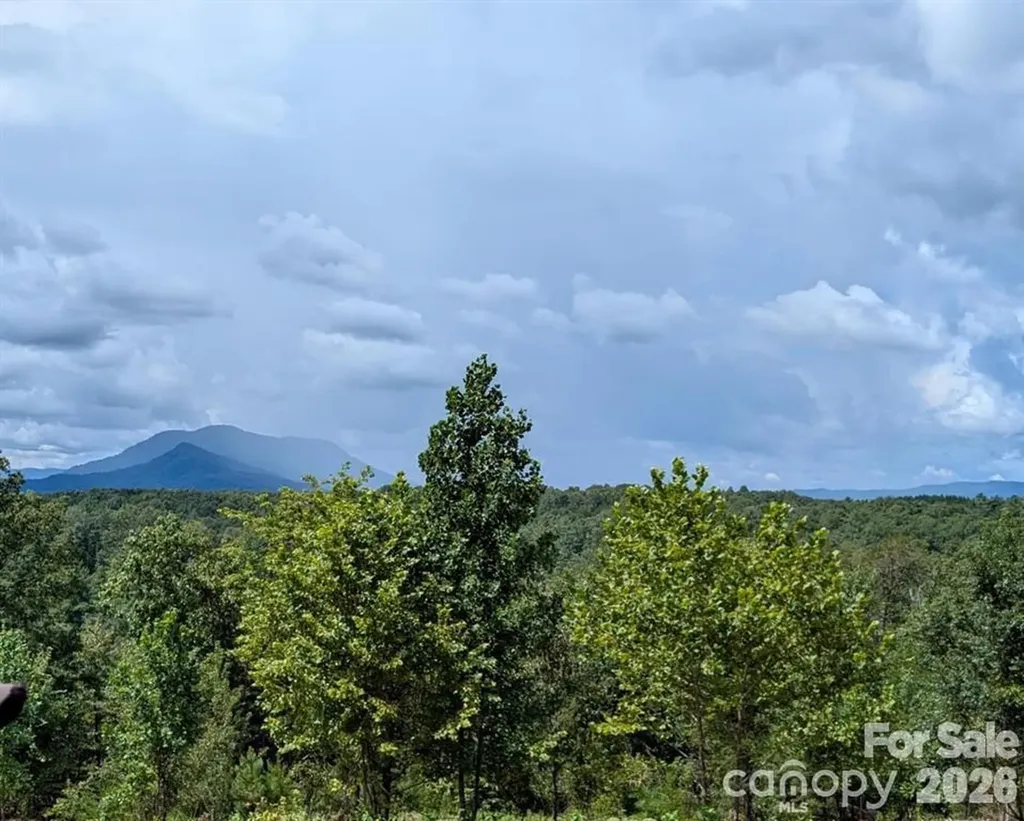 Lot #1 Price Summit Way Mill Spring NC 28756