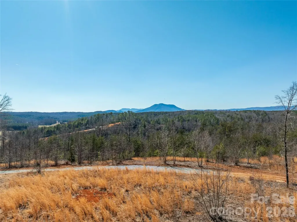 Lot #1 Price Summit Way Mill Spring NC 28756