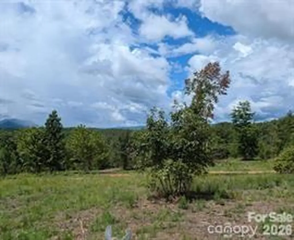 Lot #1 Price Summit Way Mill Spring NC 28756