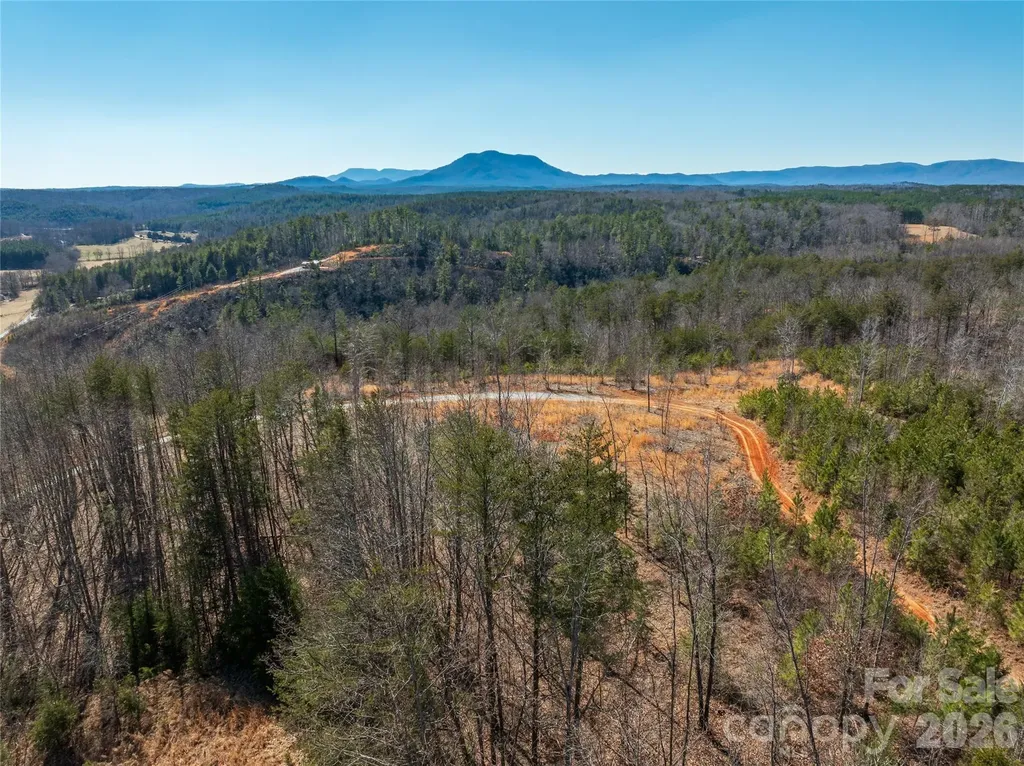 Lot #1 Price Summit Way Mill Spring NC 28756
