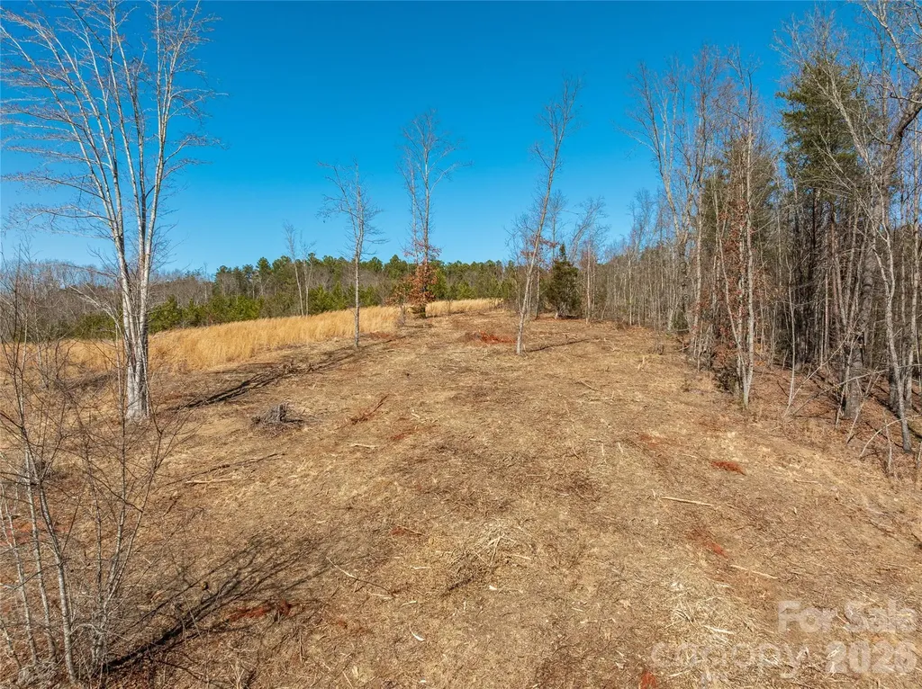 Lot #1 Price Summit Way Mill Spring NC 28756