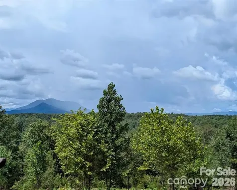 Lot #1 Price Summit Way Mill Spring NC 28756