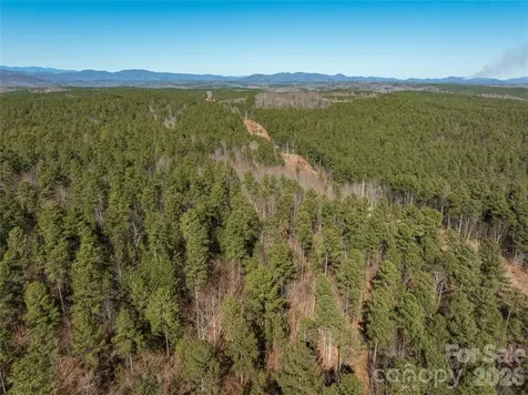 Lot #1 Price Summit Way Mill Spring NC 28756