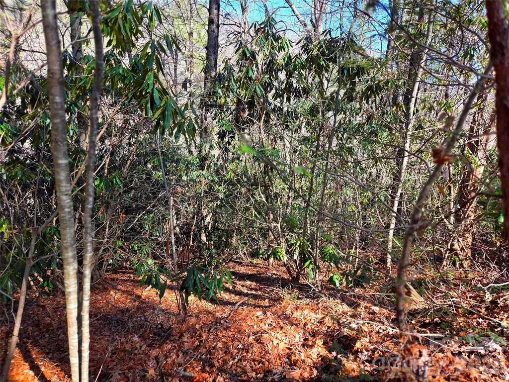 115 Fragrant Pine Drive Waynesville NC 28785
