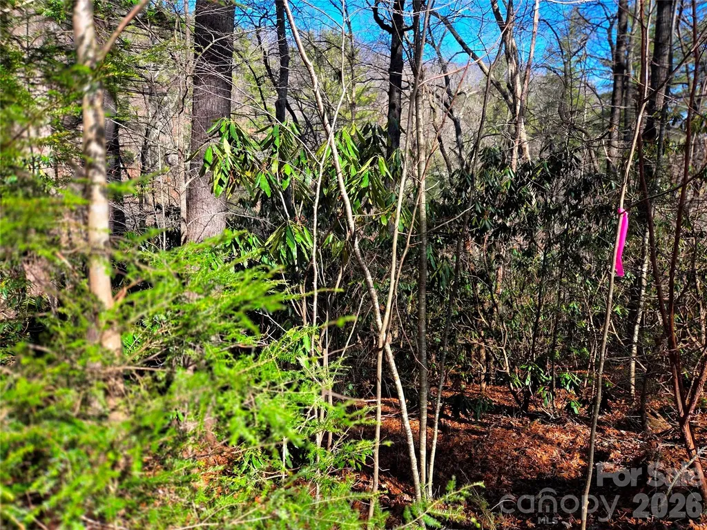 115 Fragrant Pine Drive Waynesville NC 28785