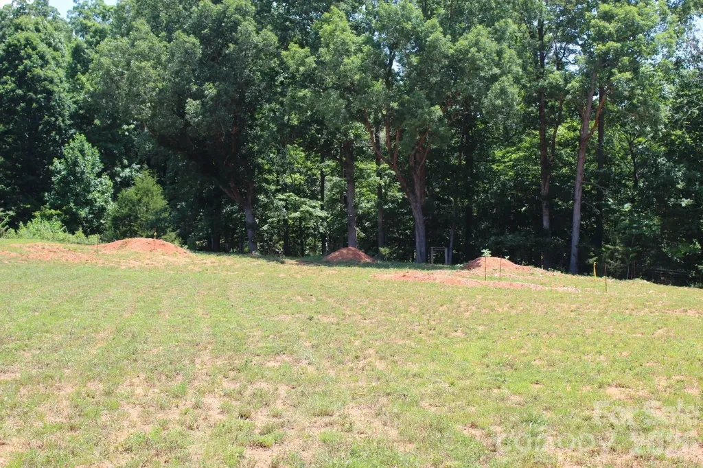 1103 Hastings Court China Grove NC 28023