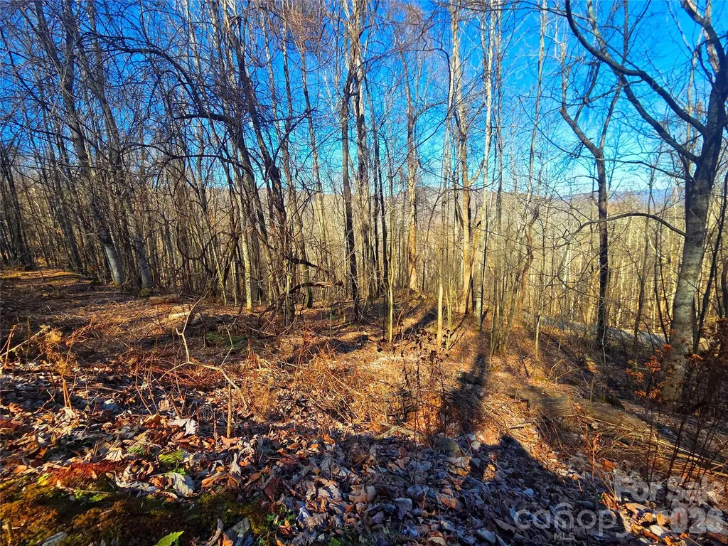 160 Slippery Rock Road Waynesville NC 28785