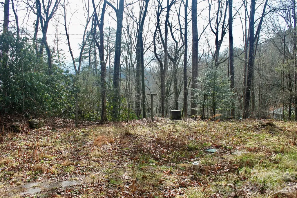 14 Irvin Road Pisgah Forest NC 28768