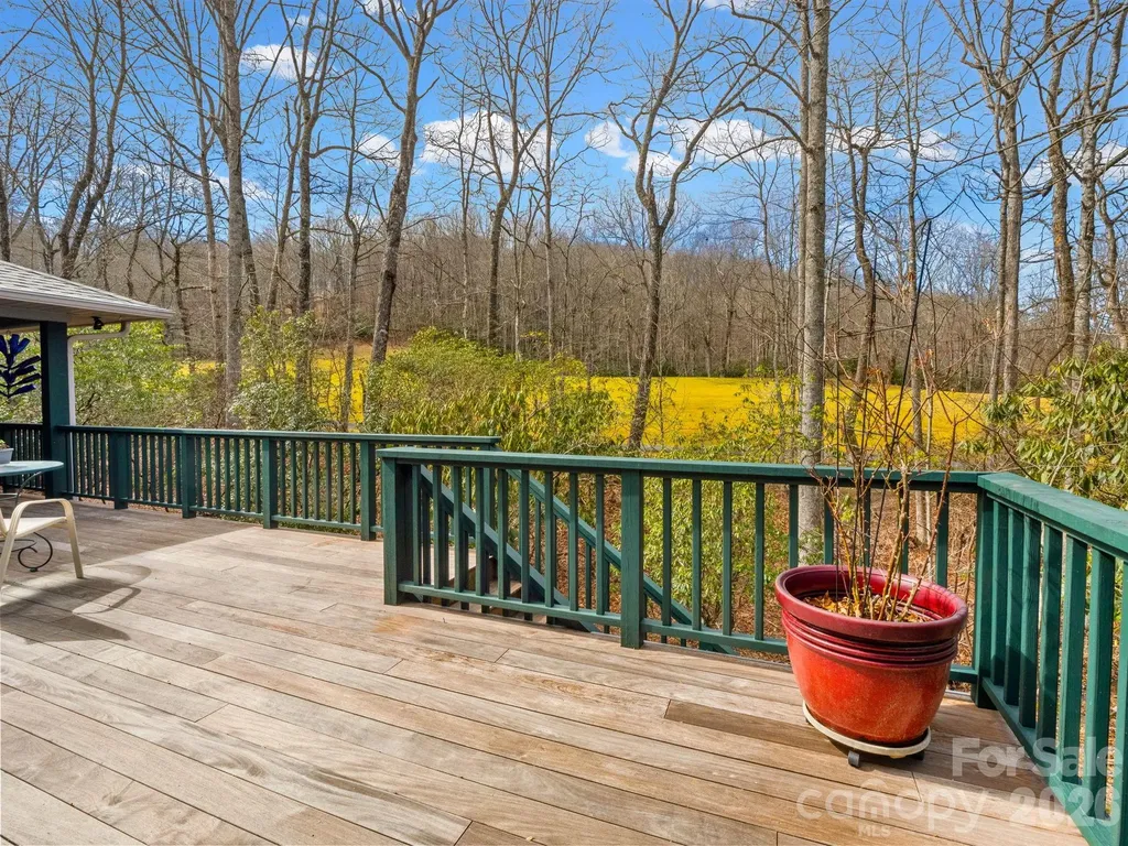 33 Ugedaliyvi Court Brevard NC 28712