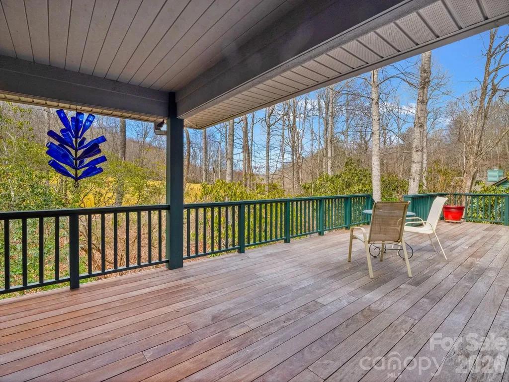 33 Ugedaliyvi Court Brevard NC 28712