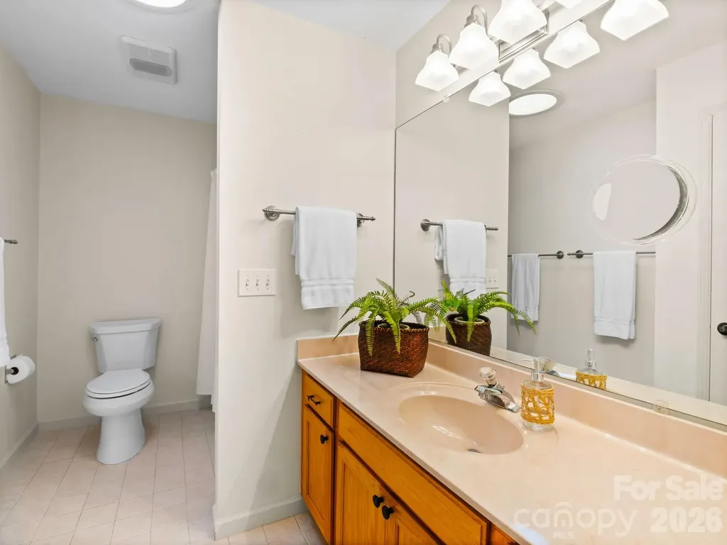 33 Ugedaliyvi Court Brevard NC 28712