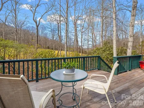 33 Ugedaliyvi Court Brevard NC 28712