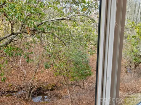33 Ugedaliyvi Court Brevard NC 28712