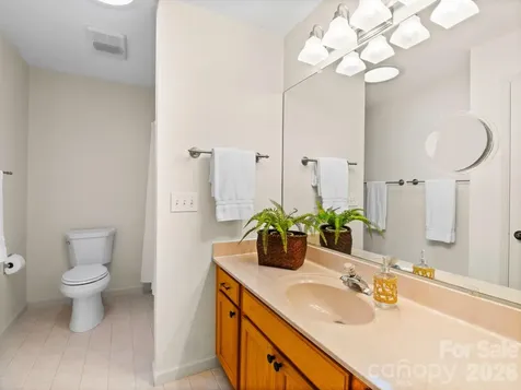 33 Ugedaliyvi Court Brevard NC 28712
