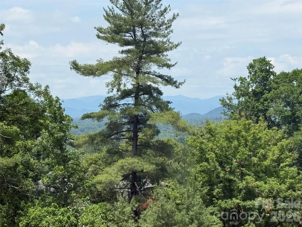 44 Leisure Mountain Road Asheville NC 28804