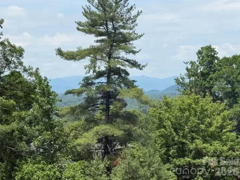 44 Leisure Mountain Road Asheville NC 28804