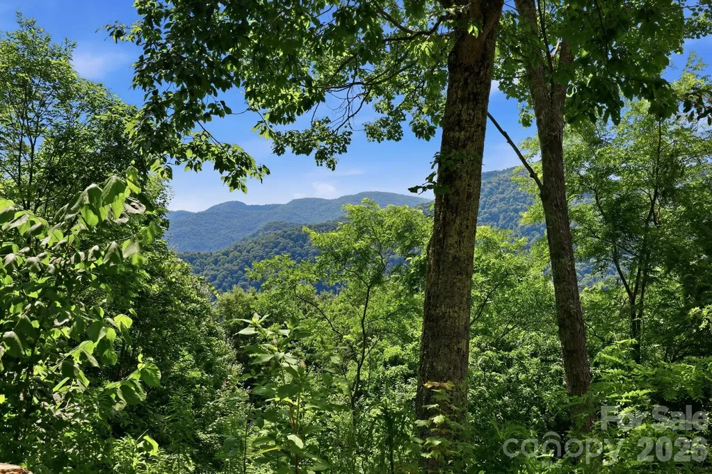 5 Lila Lane Clyde NC 28721