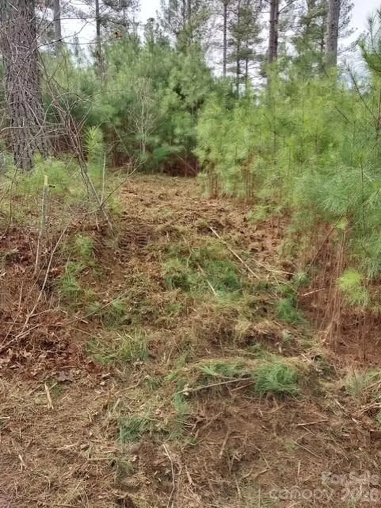 Tbd Windward Lane Granite Falls NC 28630