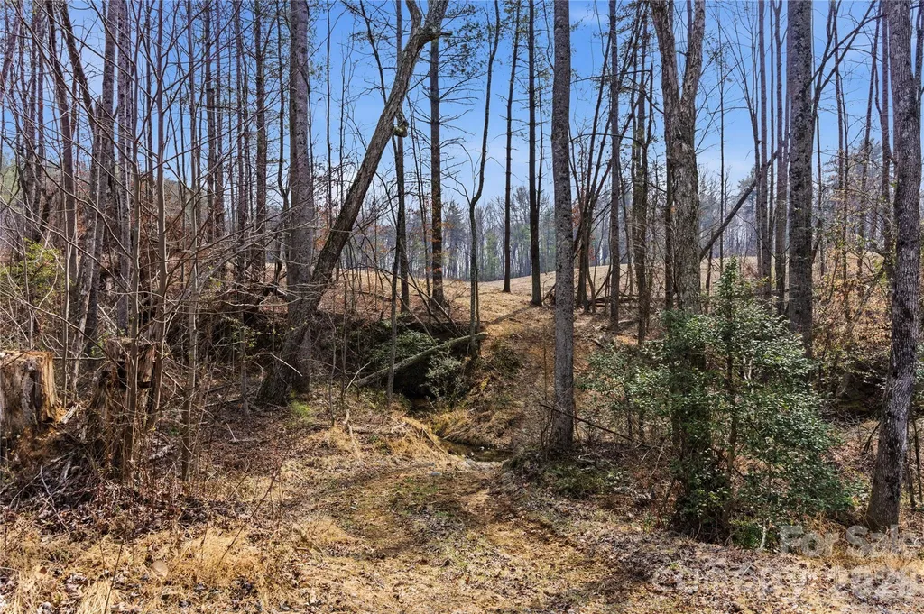 00 Mccurry Farm Lane Lincolnton NC 28092