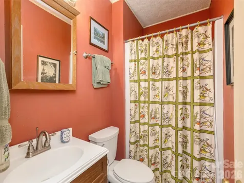 227 Sky Lake Drive Hendersonville NC 28739